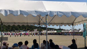 町民体育祭谷戸沢グランド