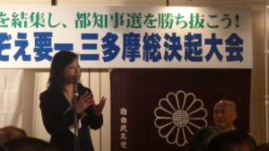 野田聖子自民党総務会長